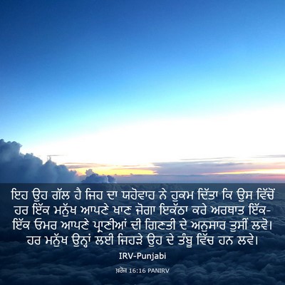 Picture 03 - ਖ਼ਰੋਜ 16:16 PANIRV - ਇਹ ਉਹ ਗੱਲ ਹੈ ਜਿਹ ਦਾ - Bible Verse Picture