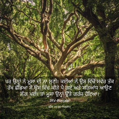 Picture 03 - ਖ਼ਰੋਜ 16:20 PANIRV - ਪਰ ਉਨ੍ਹਾਂ ਨੇ ਮੂਸਾ - Bible Verse Picture