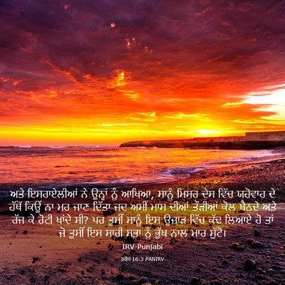 Picture 03 - ਖ਼ਰੋਜ 16:3 PANIRV - ਅਤੇ ਇਸਰਾਏਲੀਆਂ ਨੇ - Bible Verse Picture