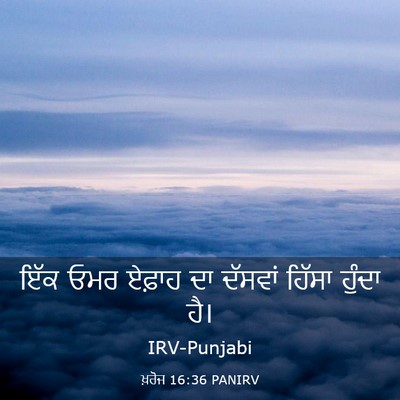 Picture 03 - ਖ਼ਰੋਜ 16:36 PANIRV - ਇੱਕ ਓਮਰ ਏਫ਼ਾਹ ਦਾ - Bible Verse Picture