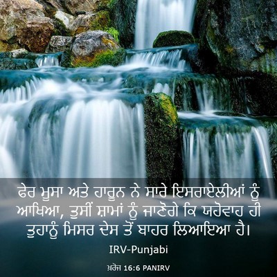 Picture 03 - ਖ਼ਰੋਜ 16:6 PANIRV - ਫੇਰ ਮੂਸਾ ਅਤੇ ਹਾਰੂਨ - Bible Verse Picture