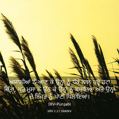 Picture 03 - ਖ਼ਰੋਜ 2:17 PANIRV - ਅਯਾਲੀਆਂ ਨੇ ਆਣ ਕੇ - Bible Verse Picture