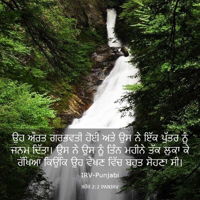 Picture 03 - ਖ਼ਰੋਜ 2:2 PANIRV - ਉਹ ਔਰਤ ਗਰਭਵਤੀ ਹੋਈ - Bible Verse Picture