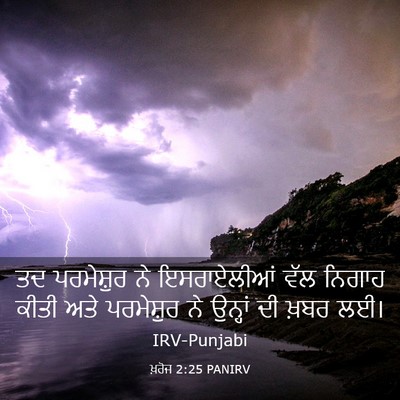 Picture 03 - ਖ਼ਰੋਜ 2:25 PANIRV - ਤਦ ਪਰਮੇਸ਼ੁਰ ਨੇ - Bible Verse Picture