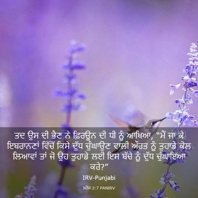 Picture 03 - ਖ਼ਰੋਜ 2:7 PANIRV - ਤਦ ਉਸ ਦੀ ਭੈਣ ਨੇ - Bible Verse Picture