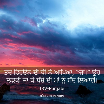 Picture 03 - ਖ਼ਰੋਜ 2:8 PANIRV - ਤਦ ਫ਼ਿਰਊਨ ਦੀ ਧੀ ਨੇ - Bible Verse Picture