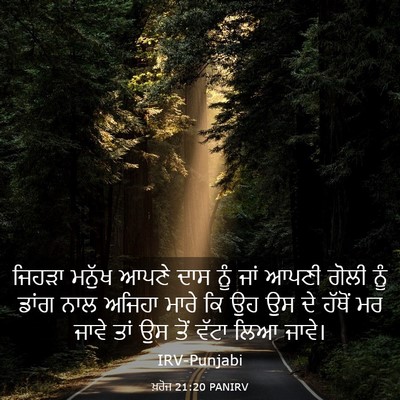 Picture 03 - ਖ਼ਰੋਜ 21:20 PANIRV - ਜਿਹੜਾ ਮਨੁੱਖ ਆਪਣੇ - Bible Verse Picture