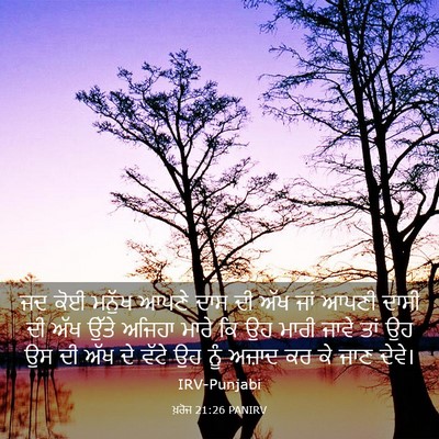 Picture 03 - ਖ਼ਰੋਜ 21:26 PANIRV - ਜਦ ਕੋਈ ਮਨੁੱਖ ਆਪਣੇ - Bible Verse Picture