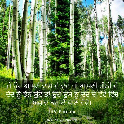 Picture 03 - ਖ਼ਰੋਜ 21:27 PANIRV - ਜੇ ਉਹ ਆਪਣੇ ਦਾਸ ਦੇ - Bible Verse Picture