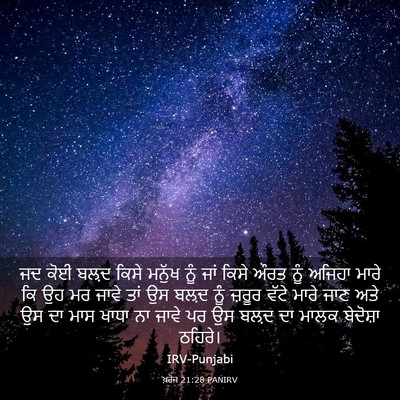 Picture 03 - ਖ਼ਰੋਜ 21:28 PANIRV - ਜਦ ਕੋਈ ਬਲ਼ਦ ਕਿਸੇ - Bible Verse Picture
