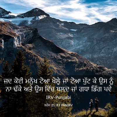 Picture 03 - ਖ਼ਰੋਜ 21:33 PANIRV - ਜਦ ਕੋਈ ਮਨੁੱਖ ਟੋਆ - Bible Verse Picture