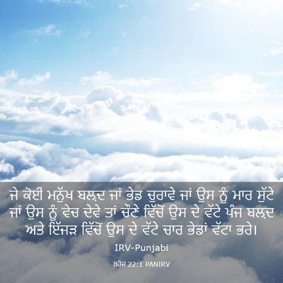 Picture 03 - ਖ਼ਰੋਜ 22:1 PANIRV - ਜੇ ਕੋਈ ਮਨੁੱਖ ਬਲ਼ਦ - Bible Verse Picture