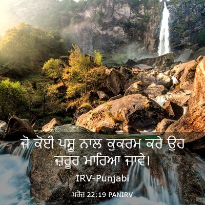 Picture 03 - ਖ਼ਰੋਜ 22:19 PANIRV - ਜੋ ਕੋਈ ਪਸ਼ੂ ਨਾਲ - Bible Verse Picture