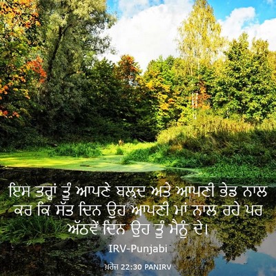 Picture 03 - ਖ਼ਰੋਜ 22:30 PANIRV - ਇਸ ਤਰ੍ਹਾਂ ਤੂੰ ਆਪਣੇ - Bible Verse Picture