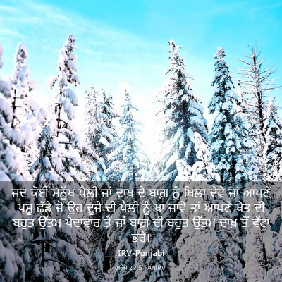 Picture 03 - ਖ਼ਰੋਜ 22:5 PANIRV - ਜਦ ਕੋਈ ਮਨੁੱਖ ਪੈਲੀ - Bible Verse Picture