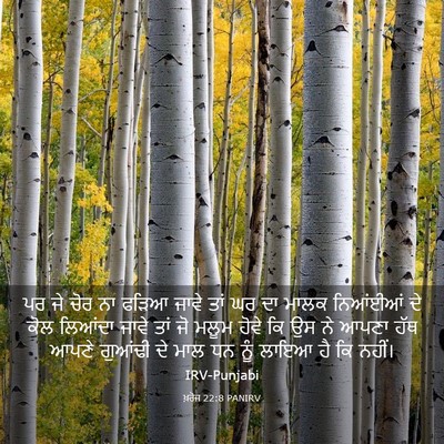 Picture 03 - ਖ਼ਰੋਜ 22:8 PANIRV - ਪਰ ਜੇ ਚੋਰ ਨਾ ਫੜਿਆ - Bible Verse Picture