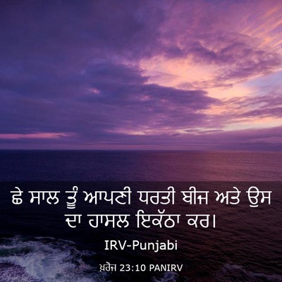 Picture 03 - ਖ਼ਰੋਜ 23:10 PANIRV - ਛੇ ਸਾਲ ਤੂੰ ਆਪਣੀ - Bible Verse Picture