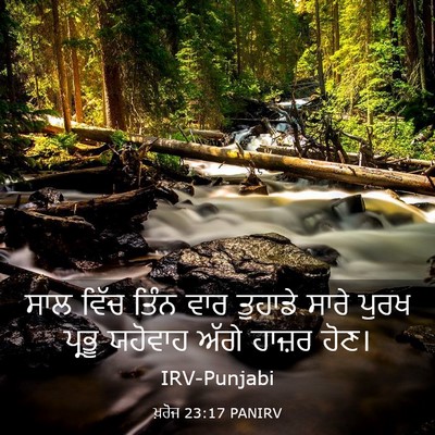 Picture 03 - ਖ਼ਰੋਜ 23:17 PANIRV - ਸਾਲ ਵਿੱਚ ਤਿੰਨ ਵਾਰ - Bible Verse Picture