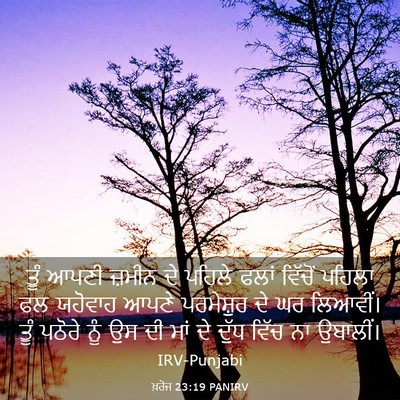 Picture 03 - ਖ਼ਰੋਜ 23:19 PANIRV - ਤੂੰ ਆਪਣੀ ਜ਼ਮੀਨ ਦੇ - Bible Verse Picture