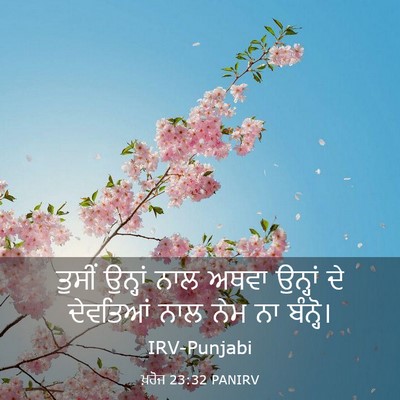 Picture 03 - ਖ਼ਰੋਜ 23:32 PANIRV - ਤੁਸੀਂ ਉਨ੍ਹਾਂ ਨਾਲ - Bible Verse Picture