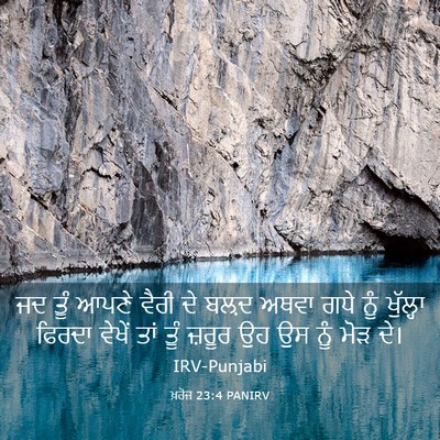 Picture 03 - ਖ਼ਰੋਜ 23:4 PANIRV - ਜਦ ਤੂੰ ਆਪਣੇ ਵੈਰੀ ਦੇ - Bible Verse Picture