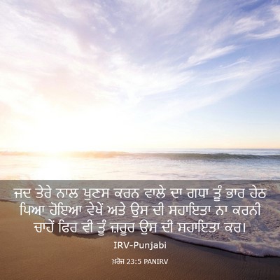 Picture 03 - ਖ਼ਰੋਜ 23:5 PANIRV - ਜਦ ਤੇਰੇ ਨਾਲ ਖੁਣਸ - Bible Verse Picture