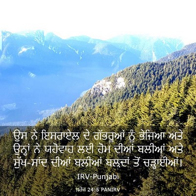 Picture 03 - ਖ਼ਰੋਜ 24:5 PANIRV - ਉਸ ਨੇ ਇਸਰਾਏਲ ਦੇ - Bible Verse Picture