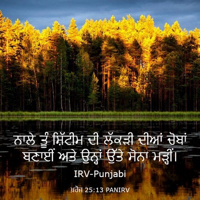 Picture 03 - ਖ਼ਰੋਜ 25:13 PANIRV - ਨਾਲੇ ਤੂੰ ਸ਼ਿੱਟੀਮ - Bible Verse Picture
