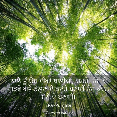 Picture 03 - ਖ਼ਰੋਜ 25:29 PANIRV - ਨਾਲੇ ਤੂੰ ਉਸ ਦੀਆਂ - Bible Verse Picture