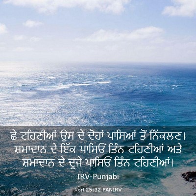 Picture 03 - ਖ਼ਰੋਜ 25:32 PANIRV - ਛੇ ਟਹਿਣੀਆਂ ਉਸ ਦੇ - Bible Verse Picture