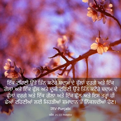 Picture 03 - ਖ਼ਰੋਜ 25:33 PANIRV - ਇੱਕ ਟਹਿਣੀ ਉੱਤੇ - Bible Verse Picture