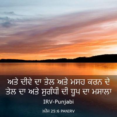 Picture 03 - ਖ਼ਰੋਜ 25:6 PANIRV - ਅਤੇ ਦੀਵੇ ਦਾ ਤੇਲ ਅਤੇ - Bible Verse Picture