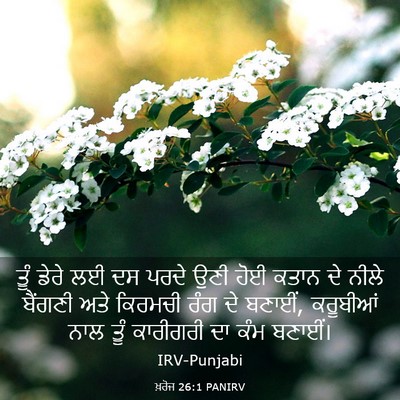 Picture 03 - ਖ਼ਰੋਜ 26:1 PANIRV - ਤੂੰ ਡੇਰੇ ਲਈ ਦਸ ਪਰਦੇ - Bible Verse Picture