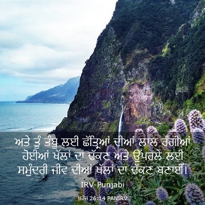 Picture 03 - ਖ਼ਰੋਜ 26:14 PANIRV - ਅਤੇ ਤੂੰ ਤੰਬੂ ਲਈ - Bible Verse Picture
