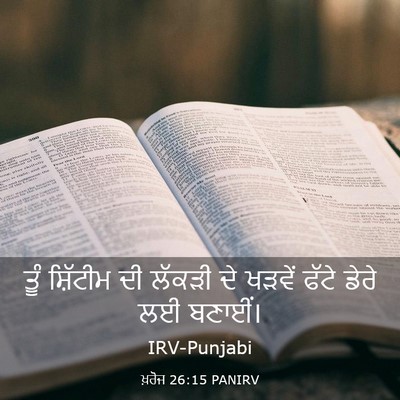 Picture 03 - ਖ਼ਰੋਜ 26:15 PANIRV - ਤੂੰ ਸ਼ਿੱਟੀਮ ਦੀ - Bible Verse Picture