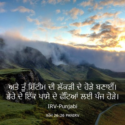 Picture 03 - ਖ਼ਰੋਜ 26:26 PANIRV - ਅਤੇ ਤੂੰ ਸ਼ਿੱਟੀਮ ਦੀ - Bible Verse Picture