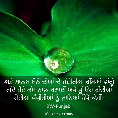 Picture 03 - ਖ਼ਰੋਜ 28:14 PANIRV - ਅਤੇ ਖ਼ਾਲਸ ਸੋਨੇ - Bible Verse Picture