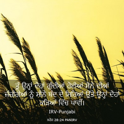 Picture 03 - ਖ਼ਰੋਜ 28:24 PANIRV - ਤੂੰ ਉਨ੍ਹਾਂ ਦੋਹਾਂ - Bible Verse Picture