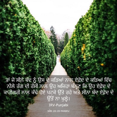 Picture 03 - ਖ਼ਰੋਜ 28:28 PANIRV - ਤਾਂ ਜੋ ਸੀਨੇ ਬੰਦ ਨੂੰ - Bible Verse Picture