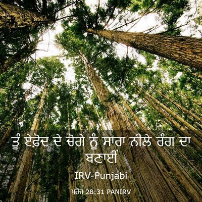Picture 03 - ਖ਼ਰੋਜ 28:31 PANIRV - ਤੂੰ ਏਫ਼ੋਦ ਦੇ ਚੋਗੇ - Bible Verse Picture