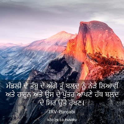 Picture 03 - ਖ਼ਰੋਜ 29:10 PANIRV - ਮੰਡਲੀ ਦੇ ਤੰਬੂ ਦੇ - Bible Verse Picture