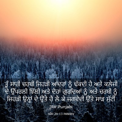 Picture 03 - ਖ਼ਰੋਜ 29:13 PANIRV - ਤੂੰ ਸਾਰੀ ਚਰਬੀ - Bible Verse Picture