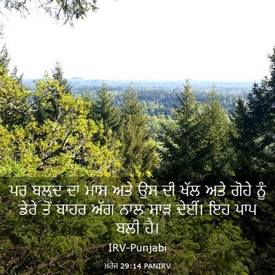 Picture 03 - ਖ਼ਰੋਜ 29:14 PANIRV - ਪਰ ਬਲ਼ਦ ਦਾ ਮਾਸ ਅਤੇ - Bible Verse Picture