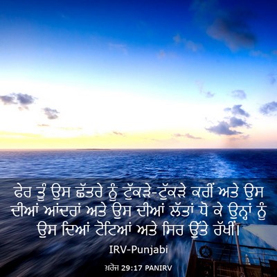 Picture 03 - ਖ਼ਰੋਜ 29:17 PANIRV - ਫੇਰ ਤੂੰ ਉਸ ਛੱਤਰੇ - Bible Verse Picture
