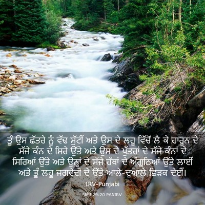 Picture 03 - ਖ਼ਰੋਜ 29:20 PANIRV - ਤੂੰ ਉਸ ਛੱਤਰੇ ਨੂੰ - Bible Verse Picture