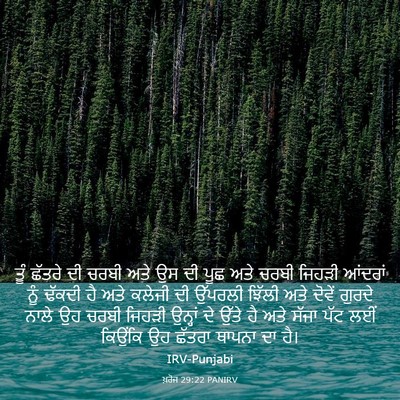 Picture 03 - ਖ਼ਰੋਜ 29:22 PANIRV - ਤੂੰ ਛੱਤਰੇ ਦੀ ਚਰਬੀ - Bible Verse Picture