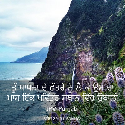 Picture 03 - ਖ਼ਰੋਜ 29:31 PANIRV - ਤੂੰ ਥਾਪਨਾ ਦੇ ਛੱਤਰੇ - Bible Verse Picture