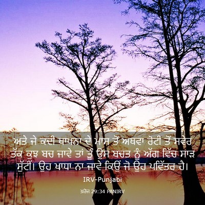 Picture 03 - ਖ਼ਰੋਜ 29:34 PANIRV - ਅਤੇ ਜੇ ਕਦੀ ਥਾਪਨਾ ਦੇ - Bible Verse Picture