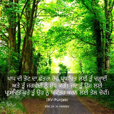 Picture 03 - ਖ਼ਰੋਜ 29:36 PANIRV - ਪਾਪ ਦੀ ਭੇਟ ਦਾ ਛੱਤਰਾ - Bible Verse Picture