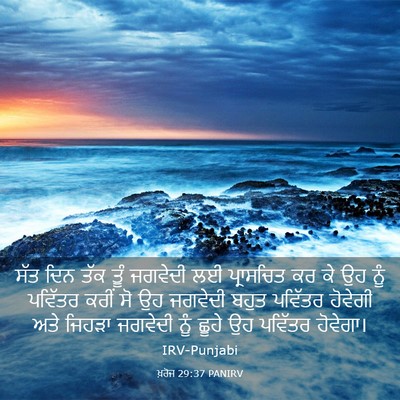 Picture 03 - ਖ਼ਰੋਜ 29:37 PANIRV - ਸੱਤ ਦਿਨ ਤੱਕ ਤੂੰ - Bible Verse Picture